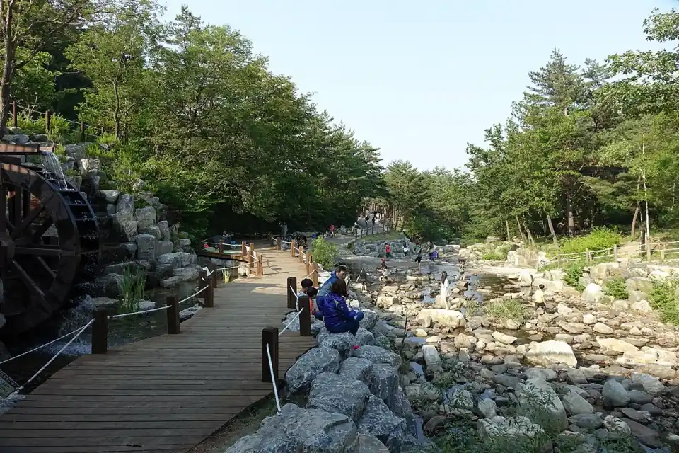 강릉솔향수목원 실제 전경 사진