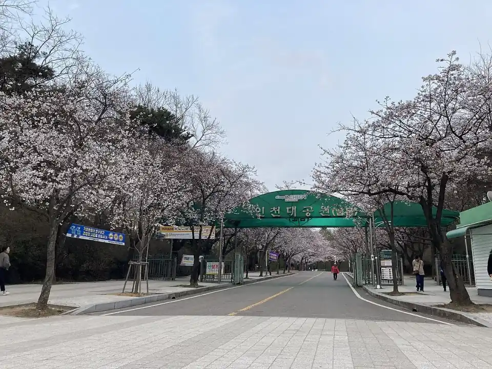 인천대공원 실제 전경 사진